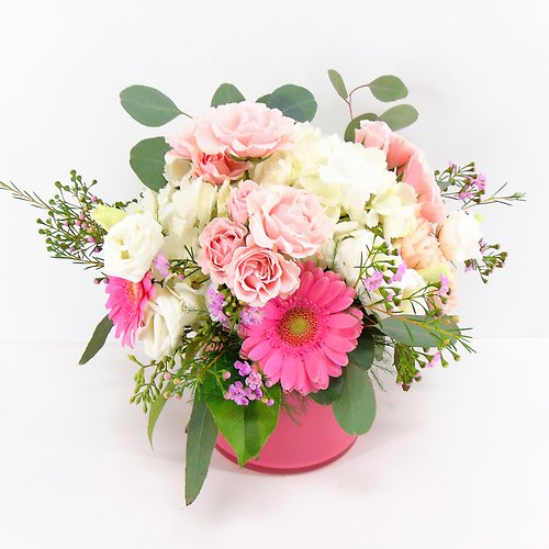 Tickled Pink!